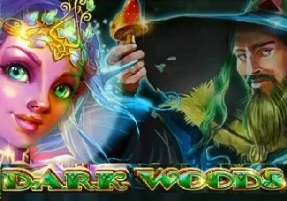 Dark woods